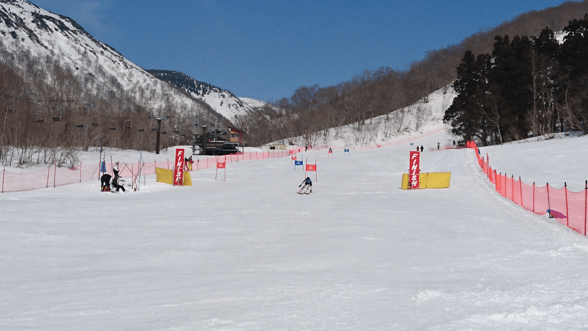 県 連盟 山形 スキー